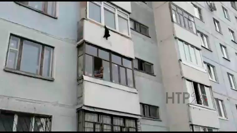 В Татарстане на видео попало спасение кота, застрявшего в окне третьего этажа