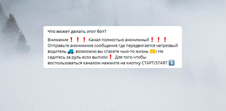 У жителей Татарстана появилась возможность пожаловаться на нарушителей ПДД в Telegram
