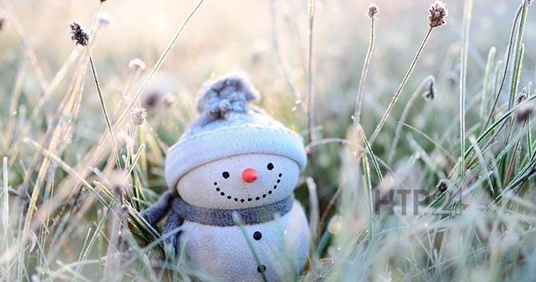 Гидрометцентр сообщил о предстоящих заморозках в Татарстане