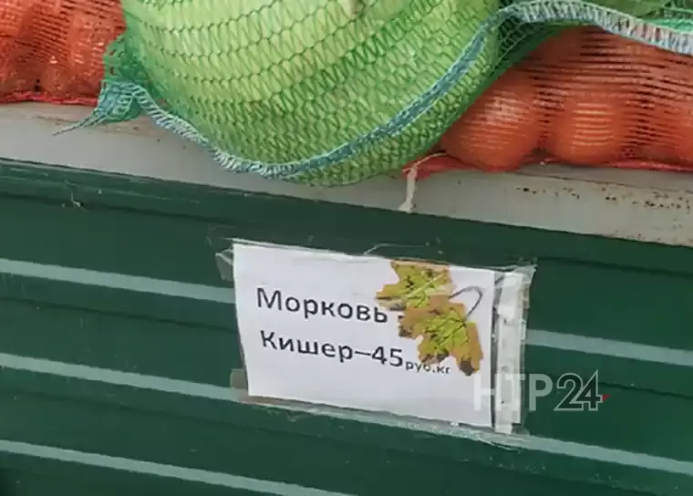 Жители Нижнекамска возмутились ценами на овощи на ярмарке у «Бызовского» рынка