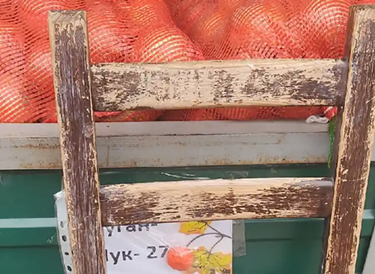 Цена на лук на ярмарке около «Бызовского» рынка в Нижнекамске