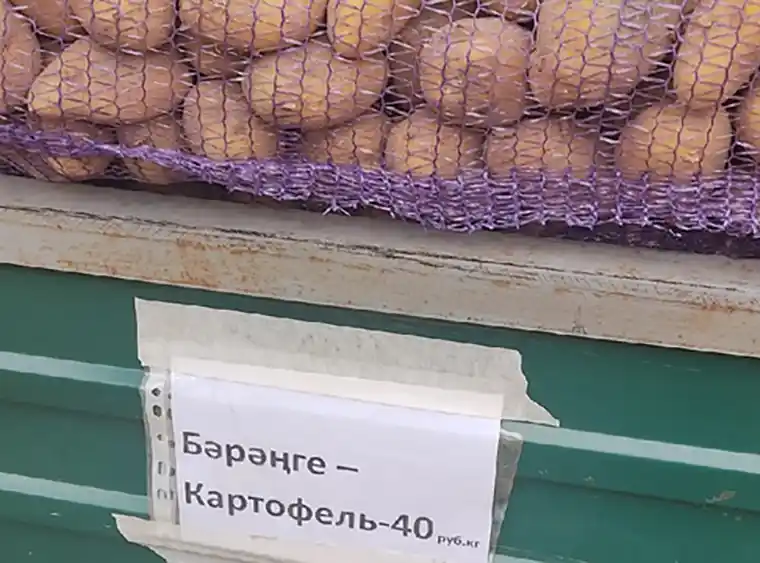 Цена на картофель на ярмарке около «Бызовского» рынка в Нижнекамске