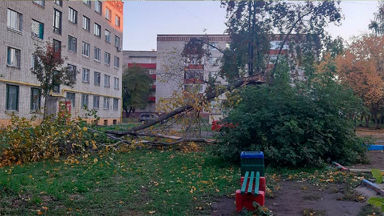 В Нижнекамске на детскую площадку упало дерево