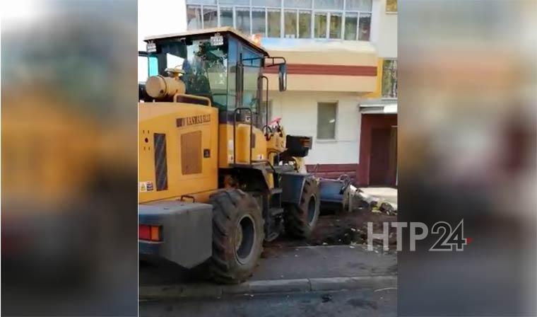 Жительница Нижнекамска сняла на видео варварство в своем дворе