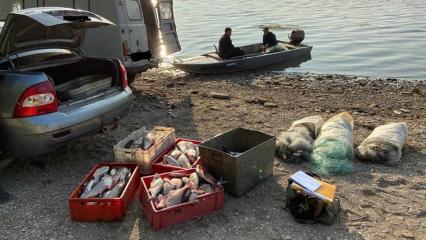 Житель Нижнекамска поймал 248 рыб и теперь должен 375 тыс. рублей