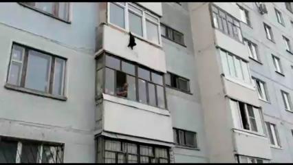 В Татарстане на видео попало спасение кота, застрявшего в окне третьего этажа