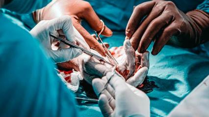 В Татарстане пенсионеру отрезало «болгаркой» пальцы - НТР 24