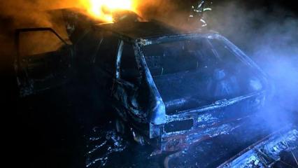 В Татарстане рядом с посёлком сгорела брошенная в поле «четырнадцатая» - НТР 24