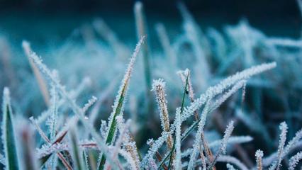 В Татарстане объявлено штормовое предупреждение о заморозках до -2 градусов