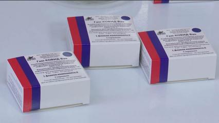 Вакцинированных «Спутником Лайт» россиян не пустили на авиарейсы в Турцию - НТР 24