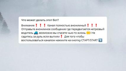 У жителей Татарстана появилась возможность пожаловаться на нарушителей ПДД в Telegram