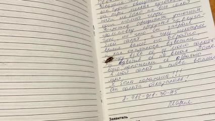 Нижнекамец обнаружил таракана в книге жалоб одной из пиццерий города