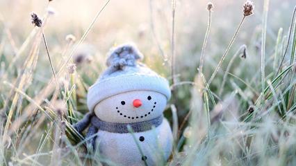 Гидрометцентр сообщил о предстоящих заморозках в Татарстане