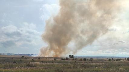 В Нижнекамске сгорела трава на поле рядом с Корабельной рощей