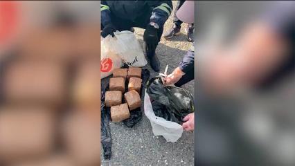 В Татарстане полицейские изъяли у курьера 12 кг мефедрона и 7 кг гашиша