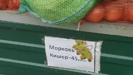 Жители Нижнекамска возмутились ценами на овощи на ярмарке у «Бызовского» рынка - НТР 24