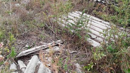 В Нижнекамском районе обнаружили несанкционированную свалку - НТР 24