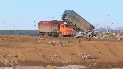 В Татарстане продолжаются работы по восстановлению земель - НТР 24