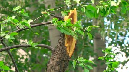 Несмотря на потепление в Татарстане ожидается дождь и ветер - НТР 24