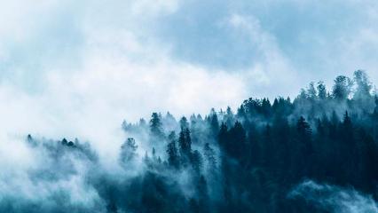 Татарстанцев предупредили о предстоящем тумане в республике - НТР 24