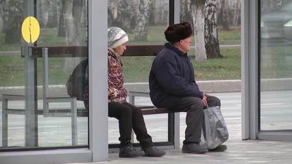 Стало известно, как в Нижнекамске отметят День пожилых людей - НТР 24