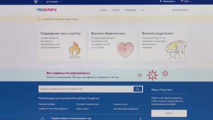 На портале госуслуг появились новые сервисы для спортсменов - НТР 24