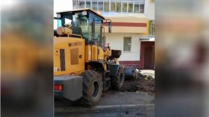 Жительница Нижнекамска сняла на видео варварство в своем дворе
