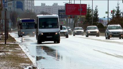 Некоторые жители Нижнекамска могут остаться без водительских прав - НТР 24