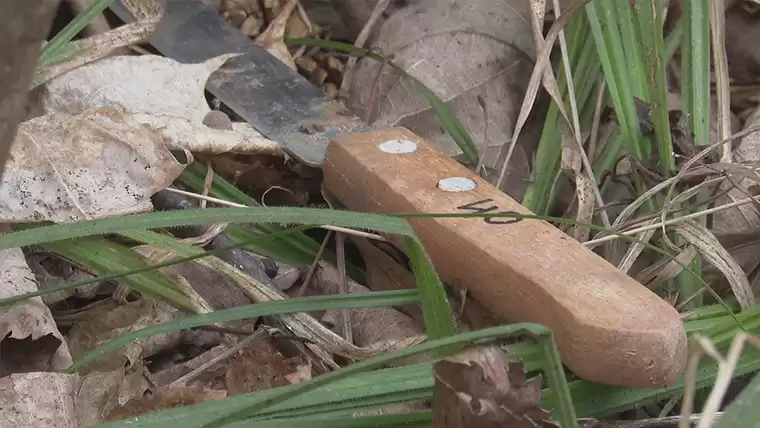 Недалеко от Нижнекамска женщина нашла своего соседа с перерезанным горлом