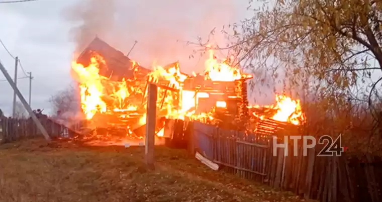 Инструкторы-кинологи спасли человека из горящего здания в Татарстане