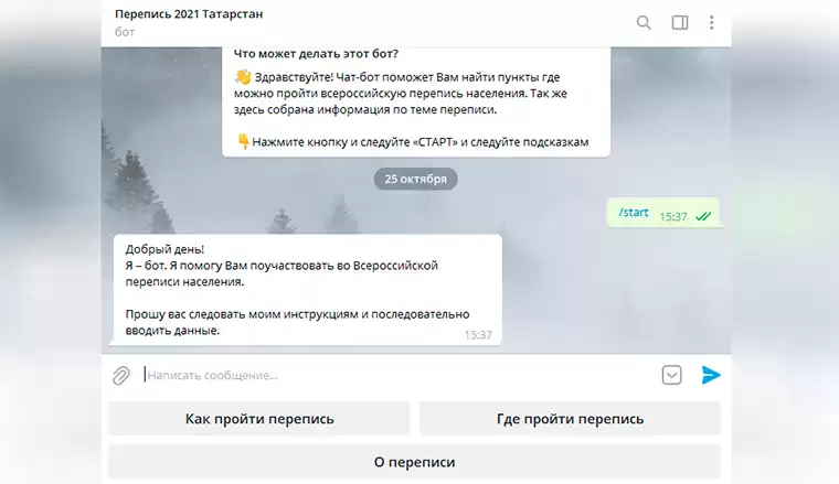 В Татарстане запустили телеграм-бот по переписи населения