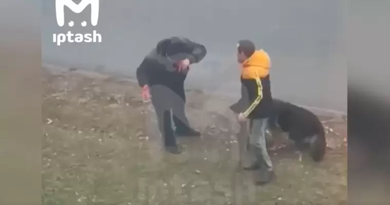 В Татарстане пассажиры с собакой избили водителя автобуса
