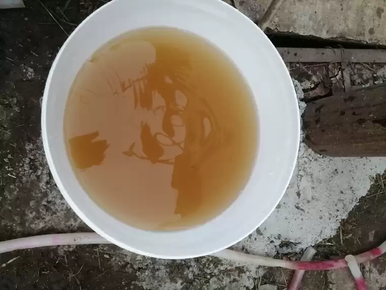 Жители деревни под Нижнекамском считают, что из их воды можно варить бульон