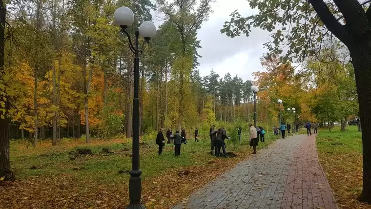 В Татарстане запустили экочеллендж, направленный на сохранение лесов