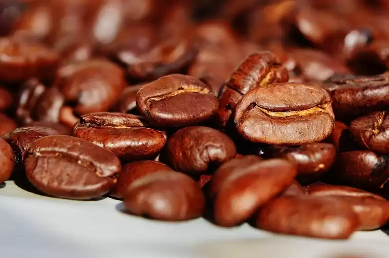 Эксперты спрогнозировали подорожание кофе на 55%