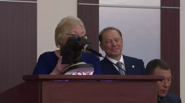 Почётный гражданин Нижнекамска Нина Буханова подарила Айдару Метшину медведя на удачу