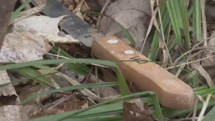 Недалеко от Нижнекамска женщина нашла своего соседа с перерезанным горлом
