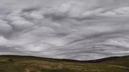 Жителей Татарстана в воскресенье ждет туман - НТР 24