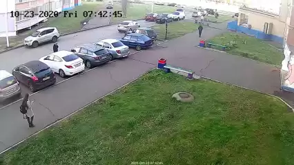 В Нижнекамске вынесли приговор мужчине, который показывал детям свои гениталии - НТР 24