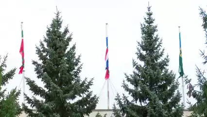 Нижнекамцы скорбят по погибшим в авиакатастрофе под Мензелинском - НТР 24