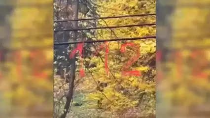 В Москве подросток открыл стрельбу около школы - НТР 24