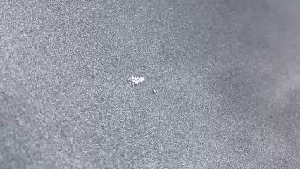 Жители Нижнекамска заметили первый снег - НТР 24