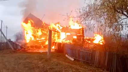 Инструкторы-кинологи спасли человека из горящего здания в Татарстане