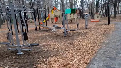 Жители Нижнекамска порадовались установке новых тренажёров - НТР 24