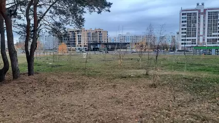 Жителей Татарстана ожидает дождливая погода и туман - НТР 24