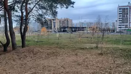 Синоптики сообщили татарстанцам о потеплении до +15 градусов - НТР 24