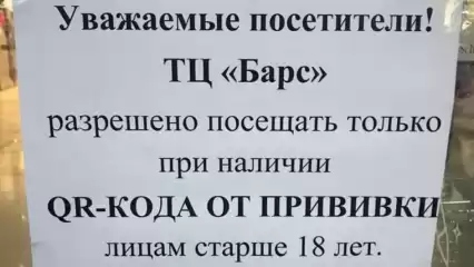 В торговых центрах Нижнекамска развесили объявления о QR-кодах - НТР 24