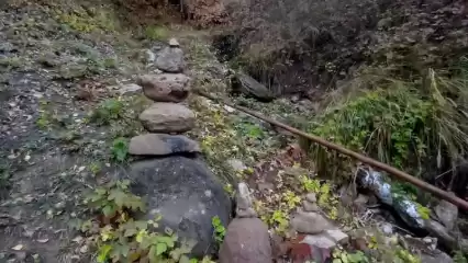 Нижнекамка обнаружила странные пирамиды из камней в Камских Полянах - НТР 24