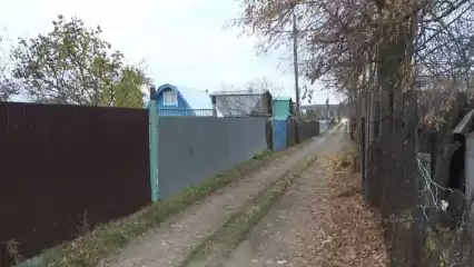 В Нижнекамске завершились перевозки в дачные массивы - НТР 24