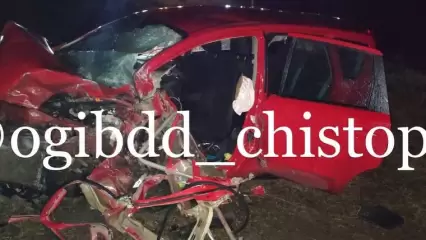 В Татарстане из-за выбежавшего на дорогу кабана в ДТП погибла женщина-водитель